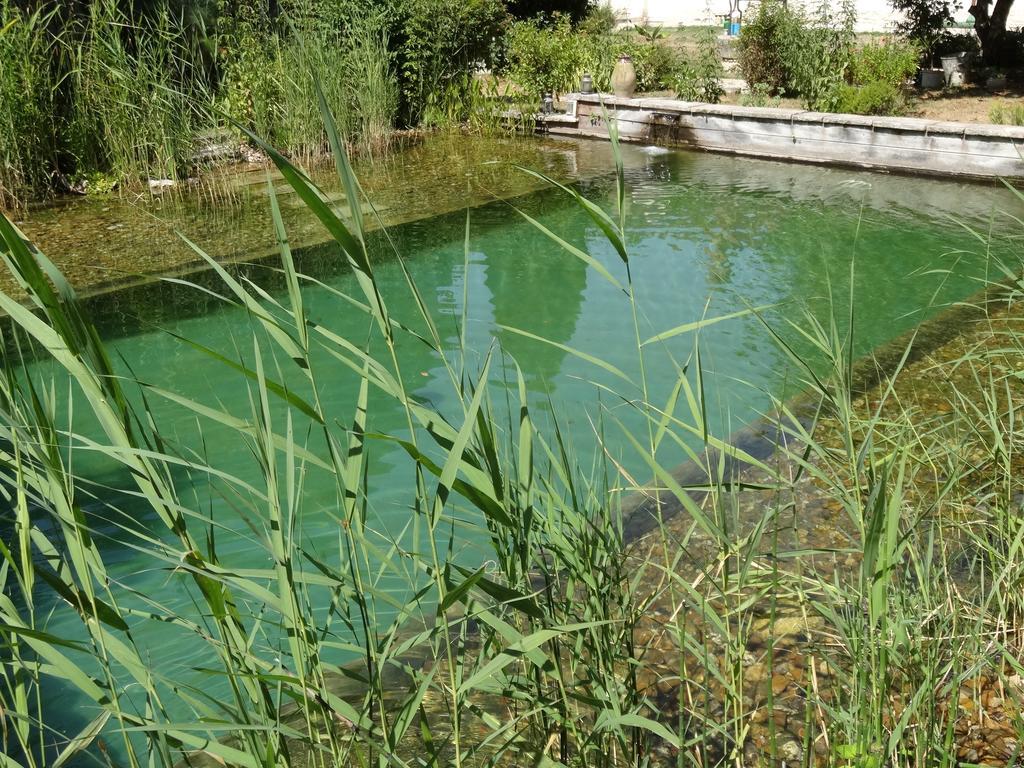 Jardin De Canaan Saint-Julien-de-Chédon エクステリア 写真