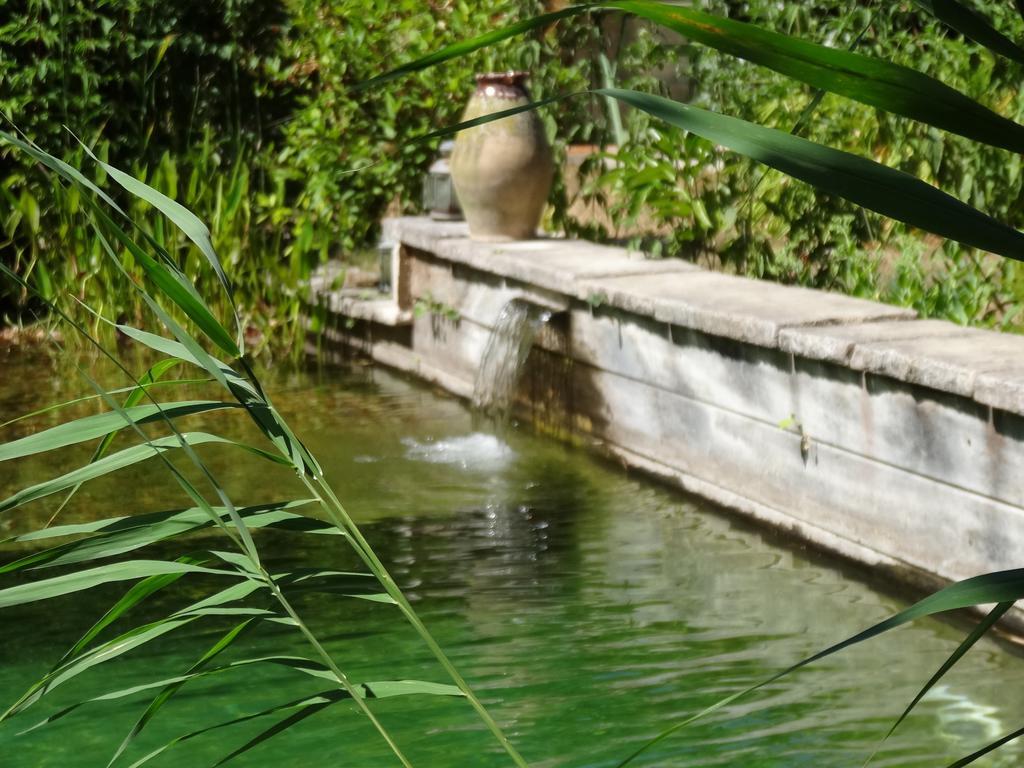 Jardin De Canaan Saint-Julien-de-Chédon エクステリア 写真